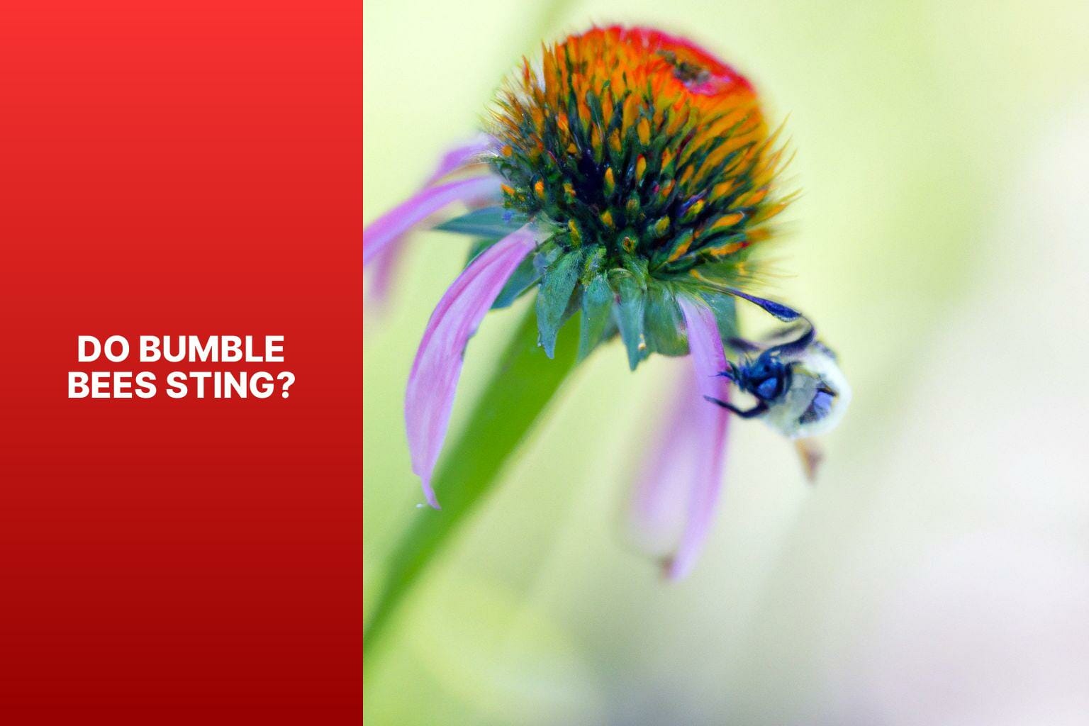Do Bumble Bees Sting? - do bumble bees sting 