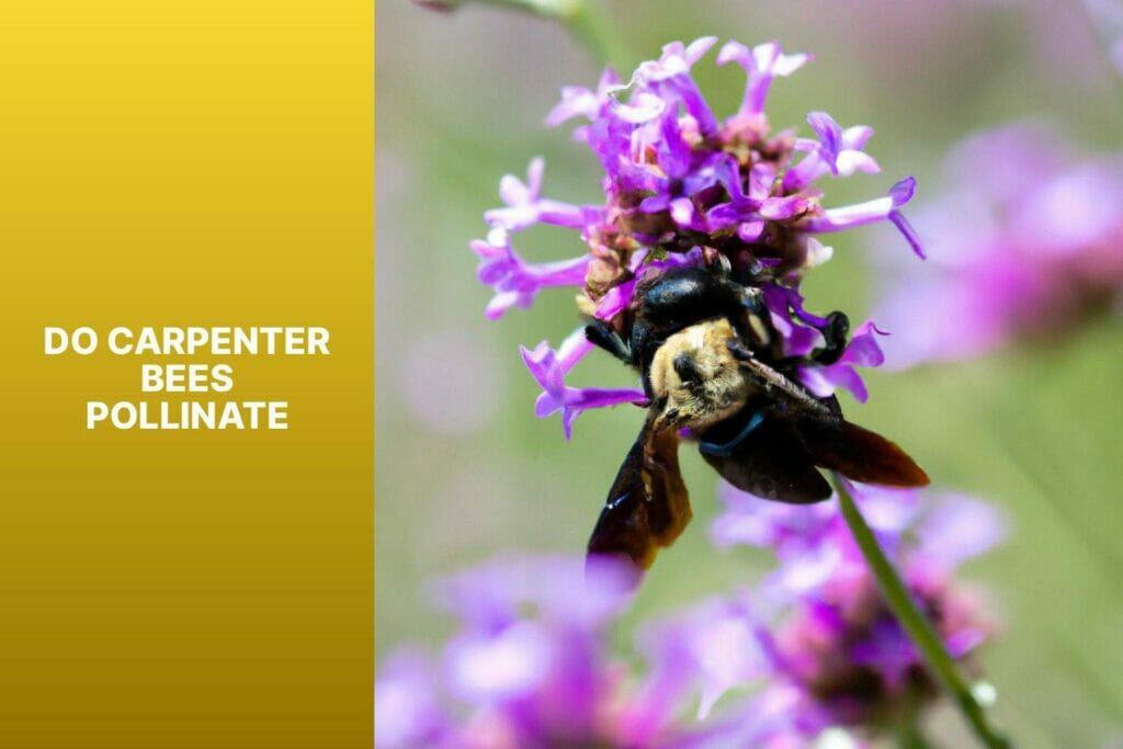 Carpenter bees: pollinate.