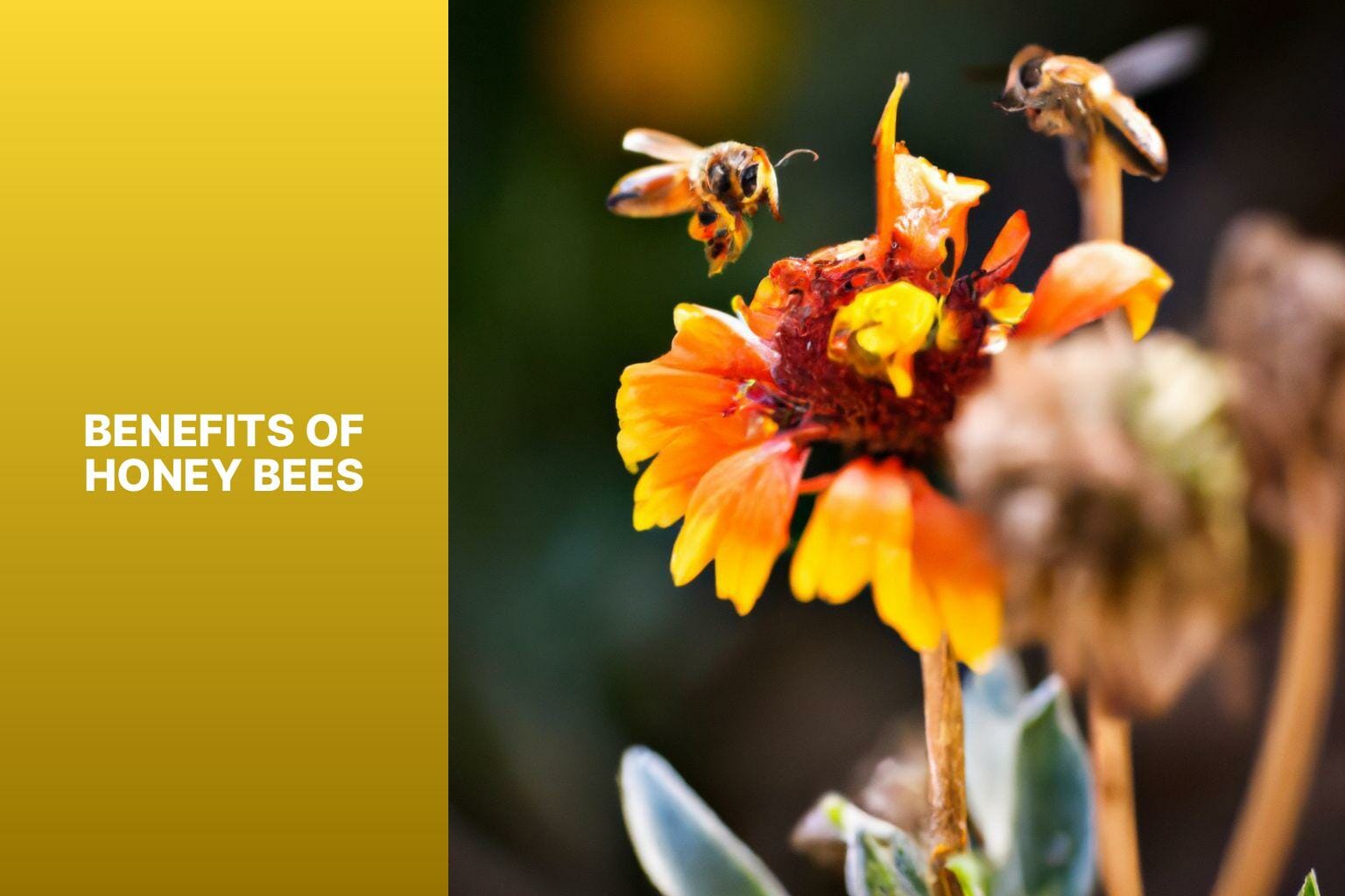 Benefits of Honey Bees - honey bees vs yellow jackets 