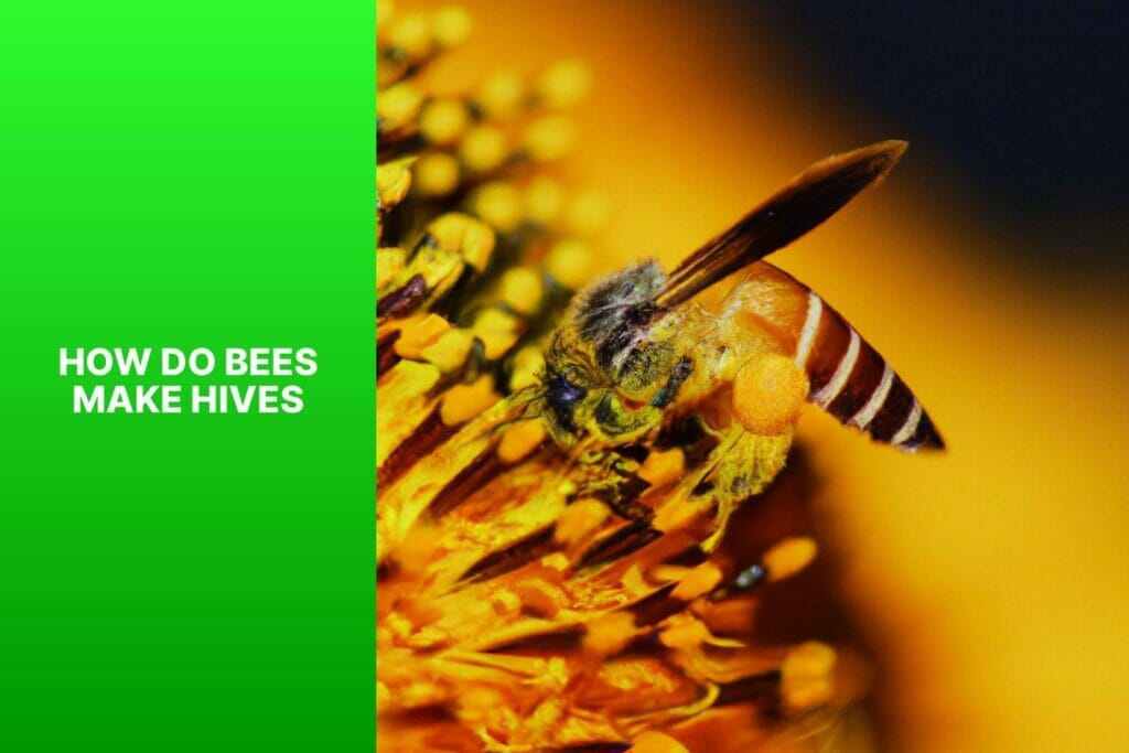 How do bees create hives?