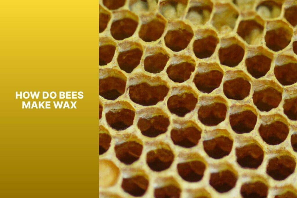 Bees, wax