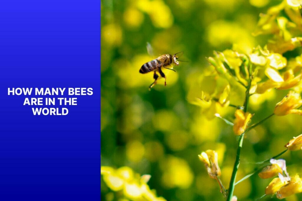 Bee population worldwide.