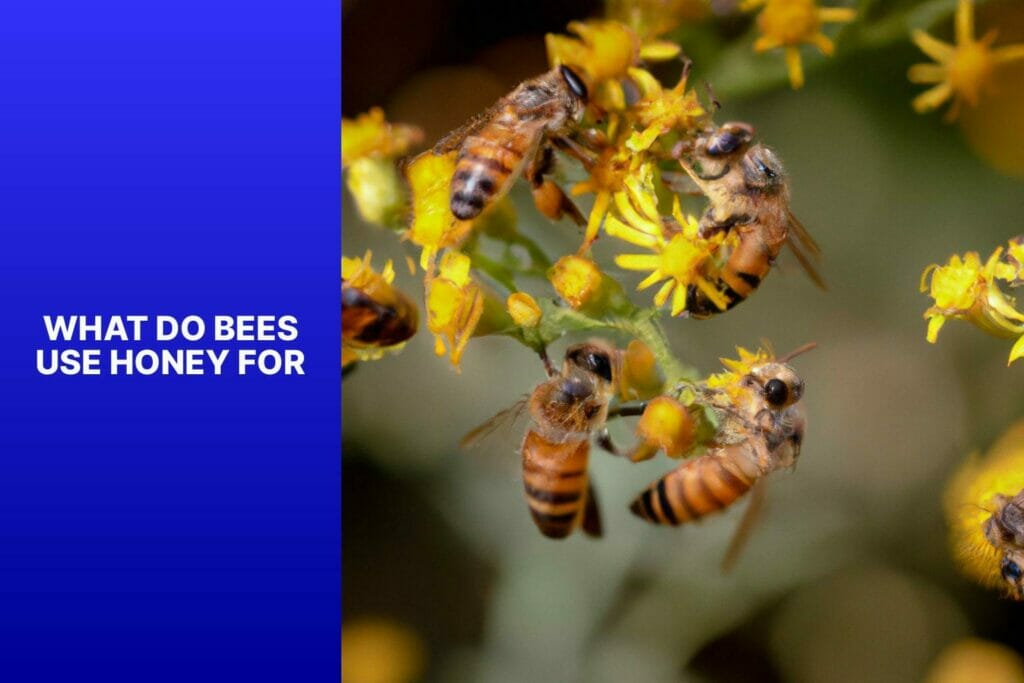 Bees, honey.