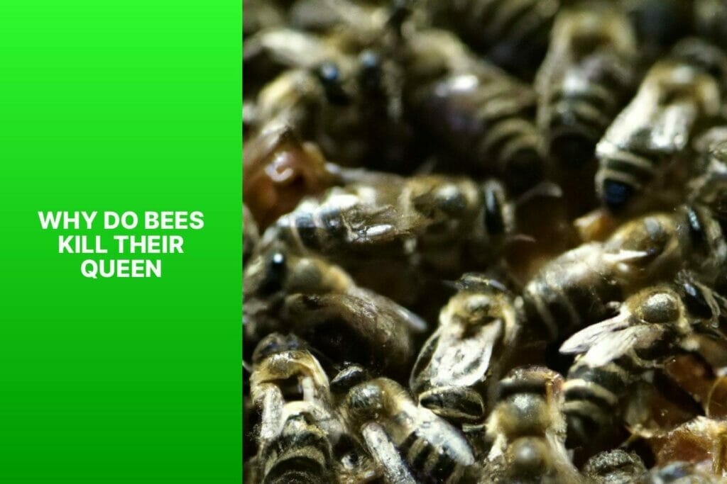 Bees, queen, kill.