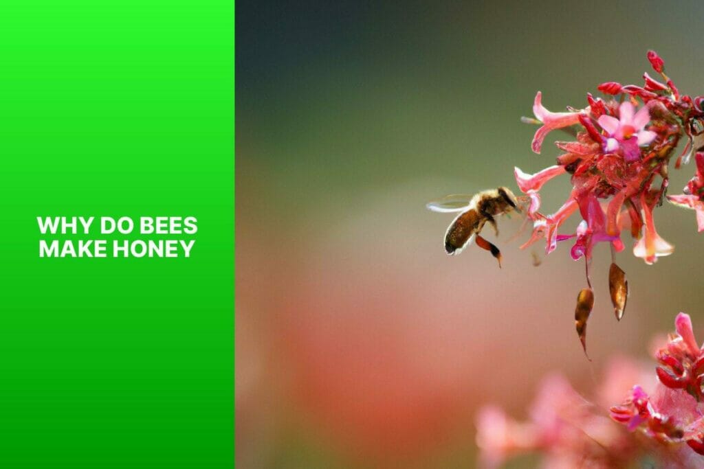 Bees, honey.
